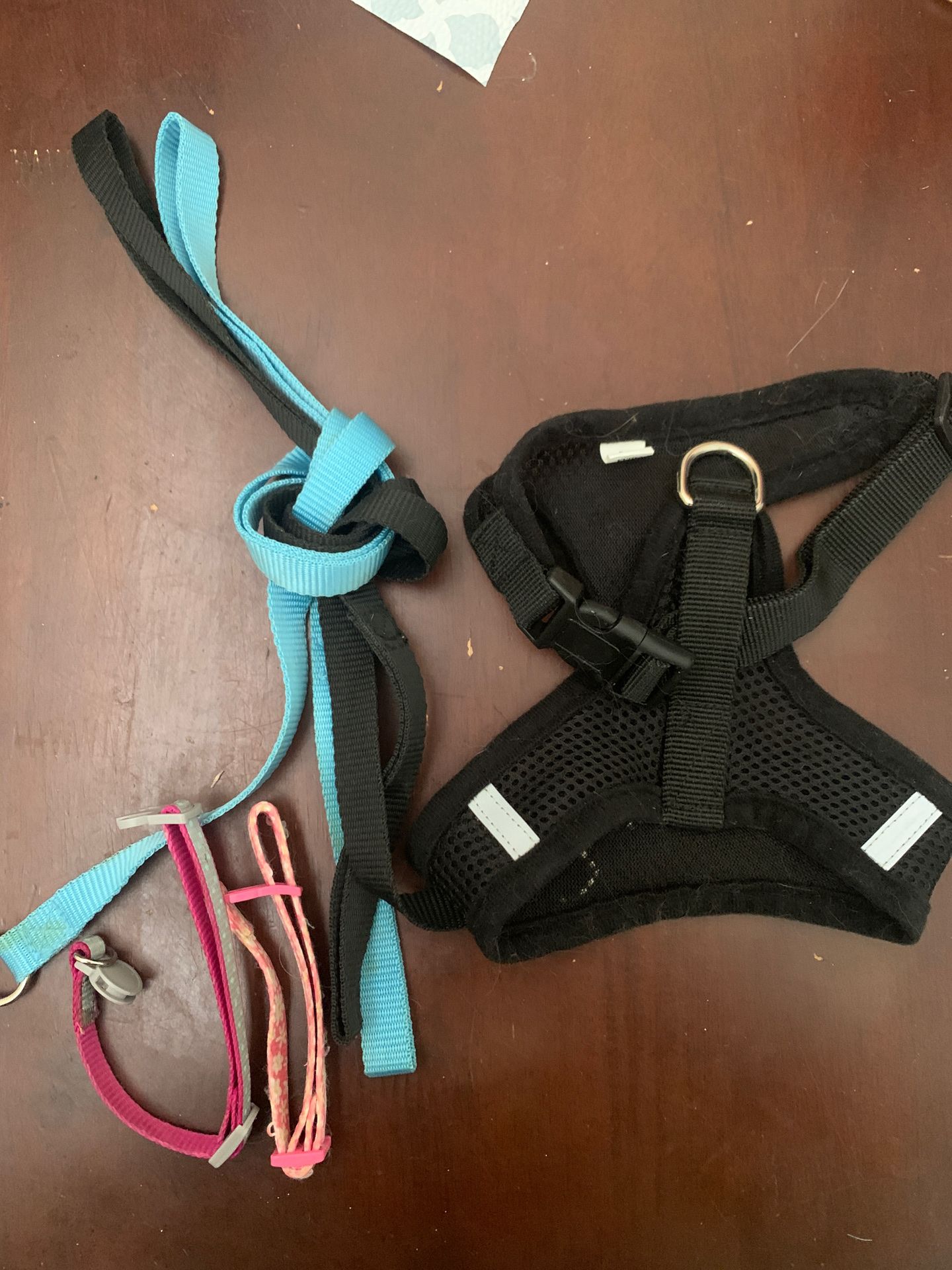 Cat harness,2 leashes, and 2 collars