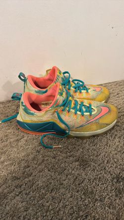 LeBron 12 ‘LeBronald Palmer    Sz. 11