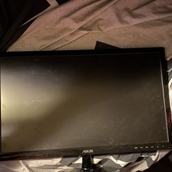 Asus Monitor