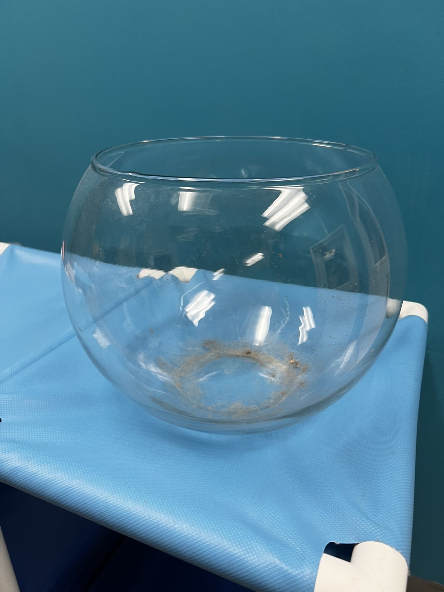 Large Glass Fish Bowl
