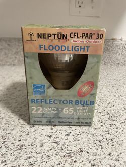 Light Bulb