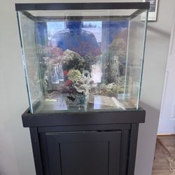 Fish Tank With Base 
