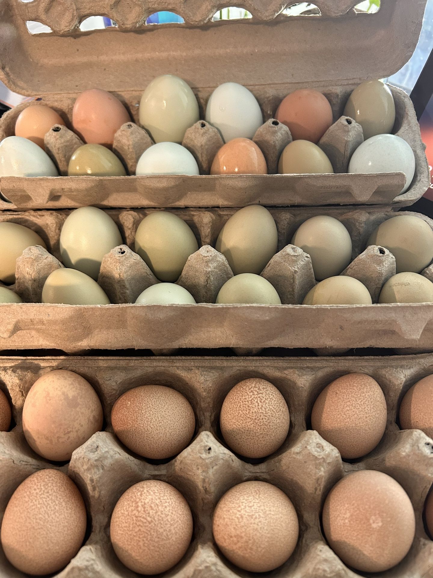 Eggs - 4.00 Per Dozen