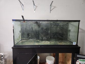 220 gallon tank and stand