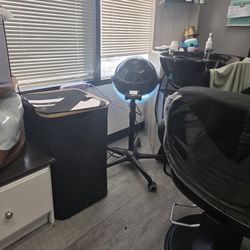 Portable Ion Hood Hair Dryer