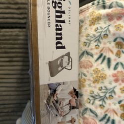 Baby Delight Bouncer 