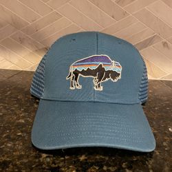 Patagonia Fitz Roy Bison Hat Cap: Snap Back in Blue