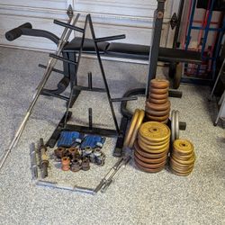 Weight Lifting Equipment: Weights and Bench 