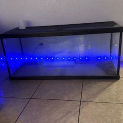 75 Gallon Tank