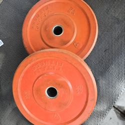 Weight Bumper Plates 