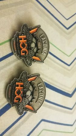 Harley Davidson 2019 HOG Pin