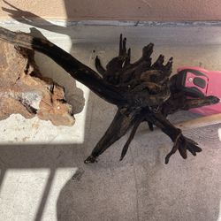 Drift Wood For Fish Tank