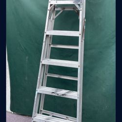 6 Foot Gorilla Ladder