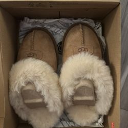 Ugg Slippers 