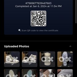 Jordan 1 Dior High