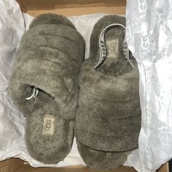 Brand New Uggs 