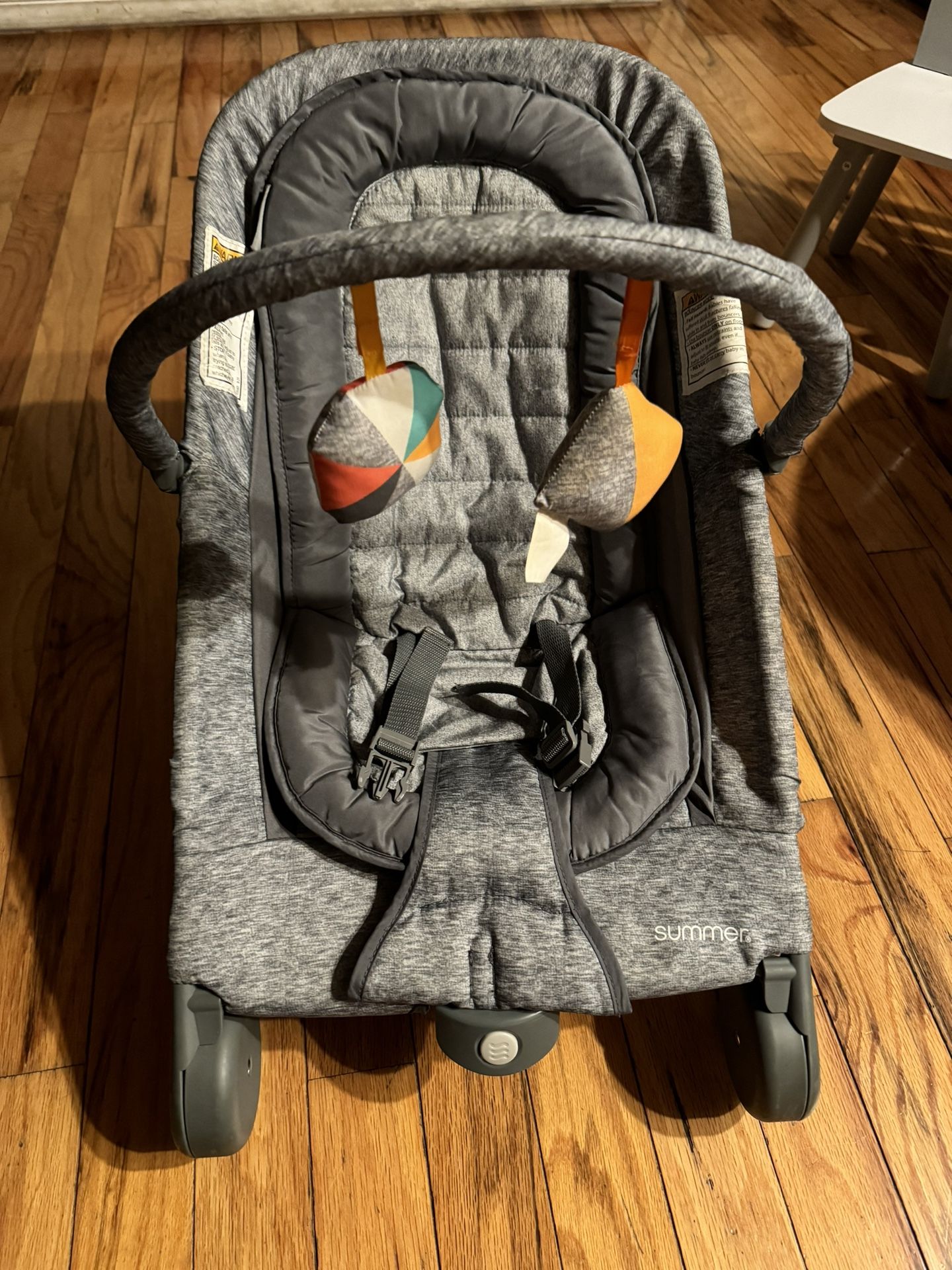 Ingenuity Summer Baby Bouncer Chair