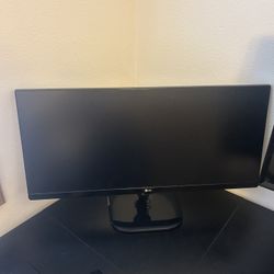 LG Gaming Monitor