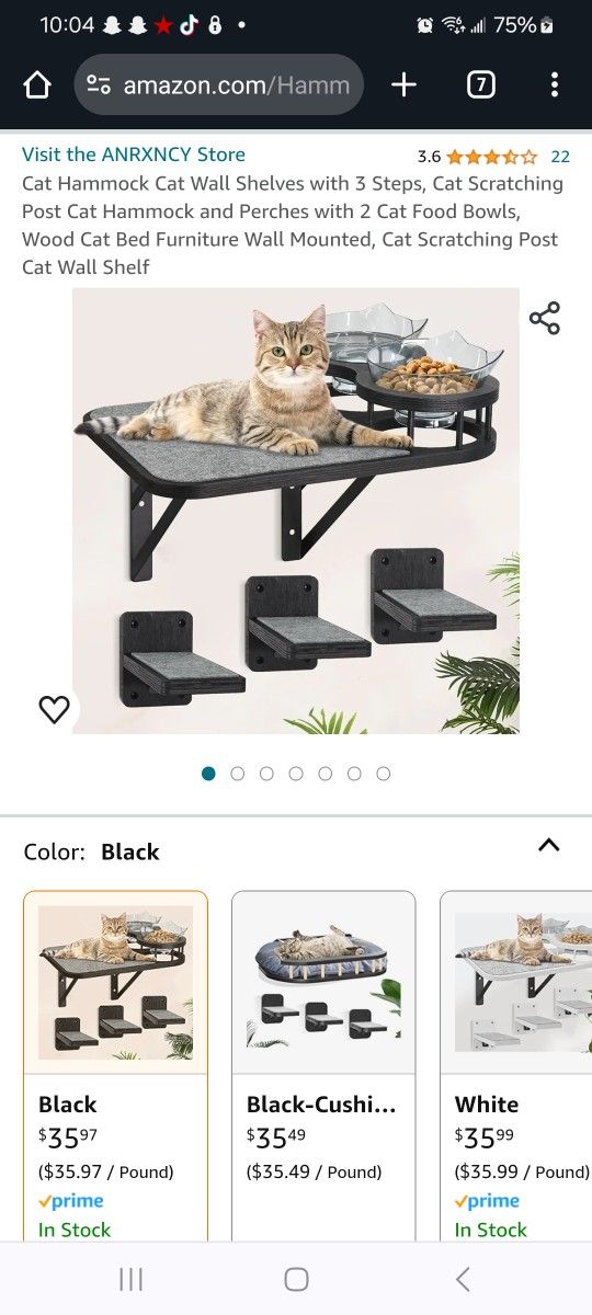 Cat Bowl With Wall Mount & Steps