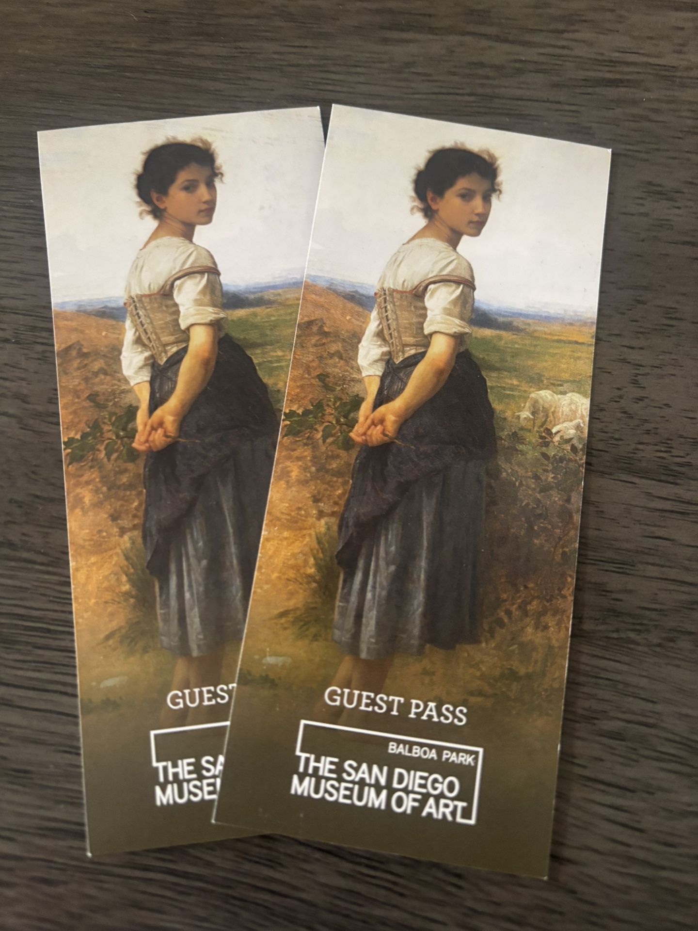 San Diego Museum of Art Tickets 