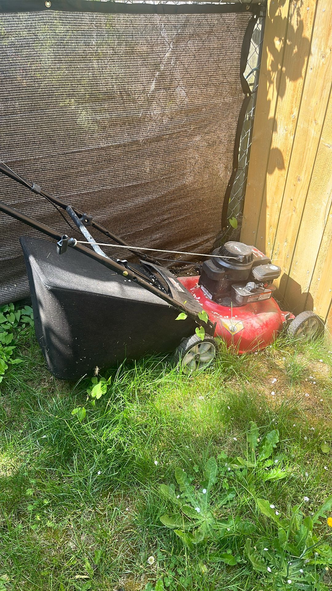 Lawn Mower