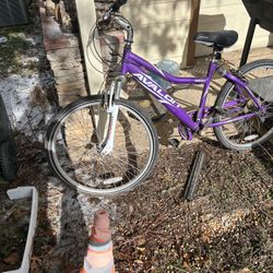 Bike (Purple)