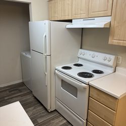 Refrigerador y estufa y campana