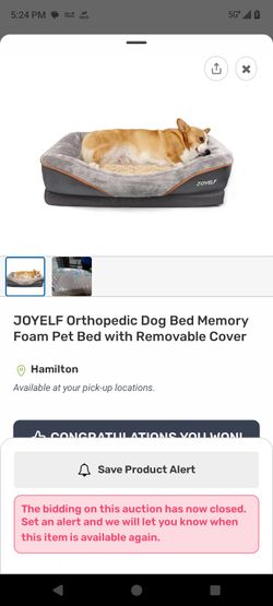 Orthopedic Dog Bed (Large)