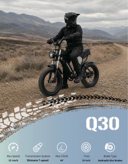 Lookroad Q30 20” Fat Tire Electric Bike Peak 1200W 48V 20Ah Removable Battery