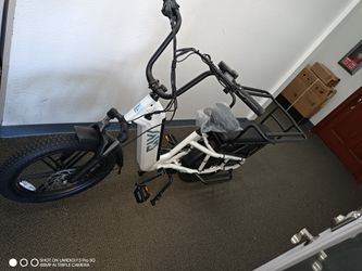 Got little ones to haul around? 👶🚲

TST Carrier Cargo Bike — $800