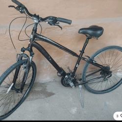 Globe Specialized Bicycle 