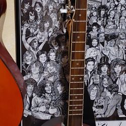 Washburn Banjo