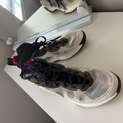 13 Gordan 