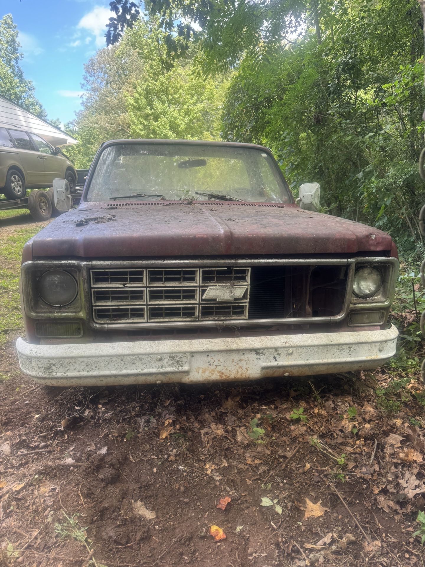 1975 Chevy C10