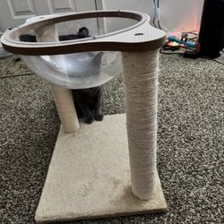 Cat Scratching Post / Bed 