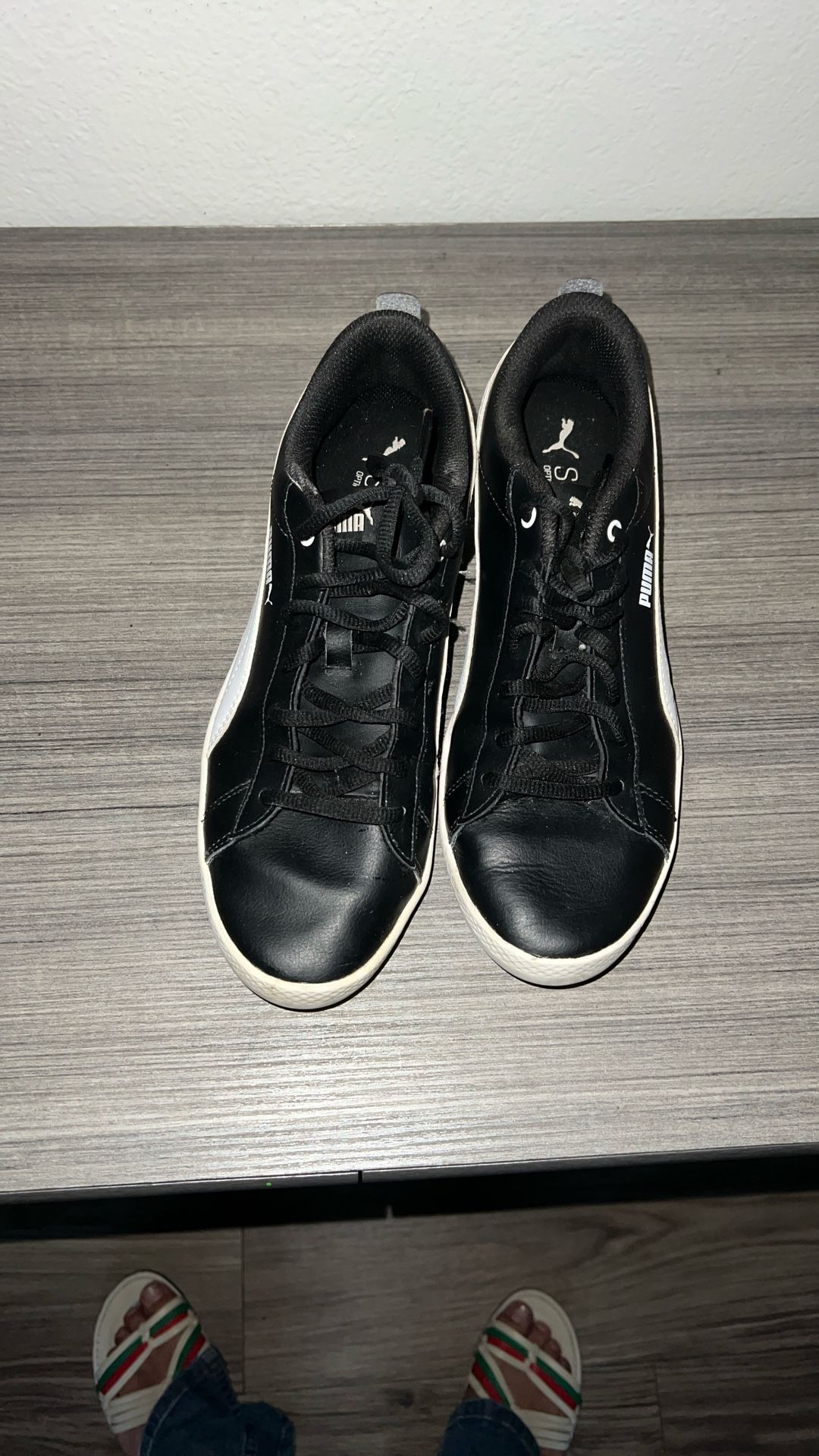 Puma 