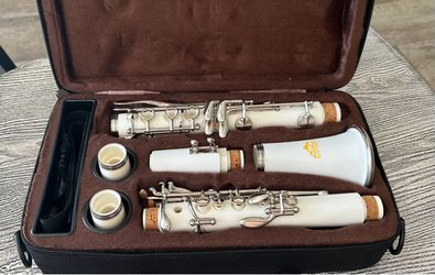 Clarinet with carry case in excellent condition. $75