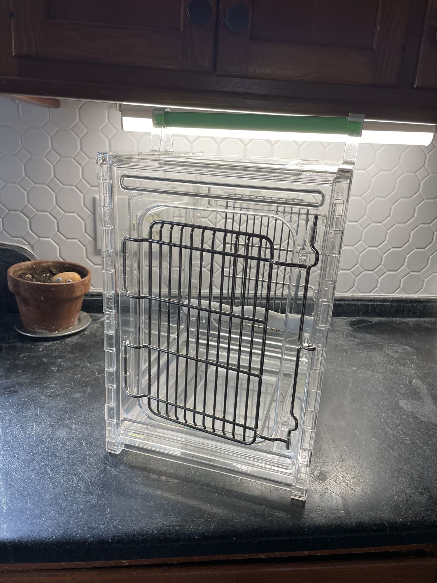 Travel Bird Cage