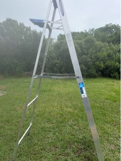 8ft ladder