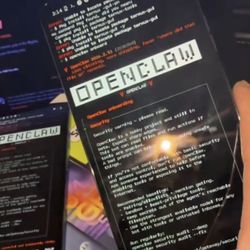 Openclaw/ClawBot Phone