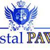 Crystal Pawn LLC
