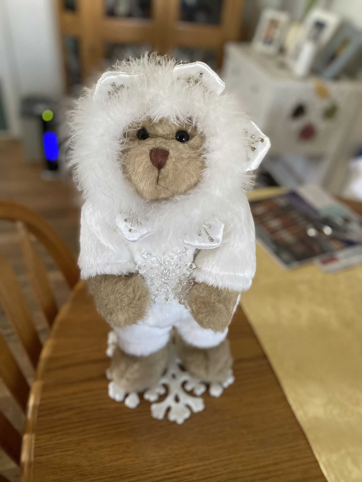 Cute Snow Bear