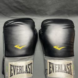 Everlast 12oz Training Boxing Gloves 