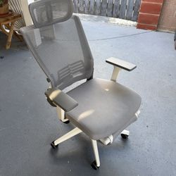 Ergonomic Chair 