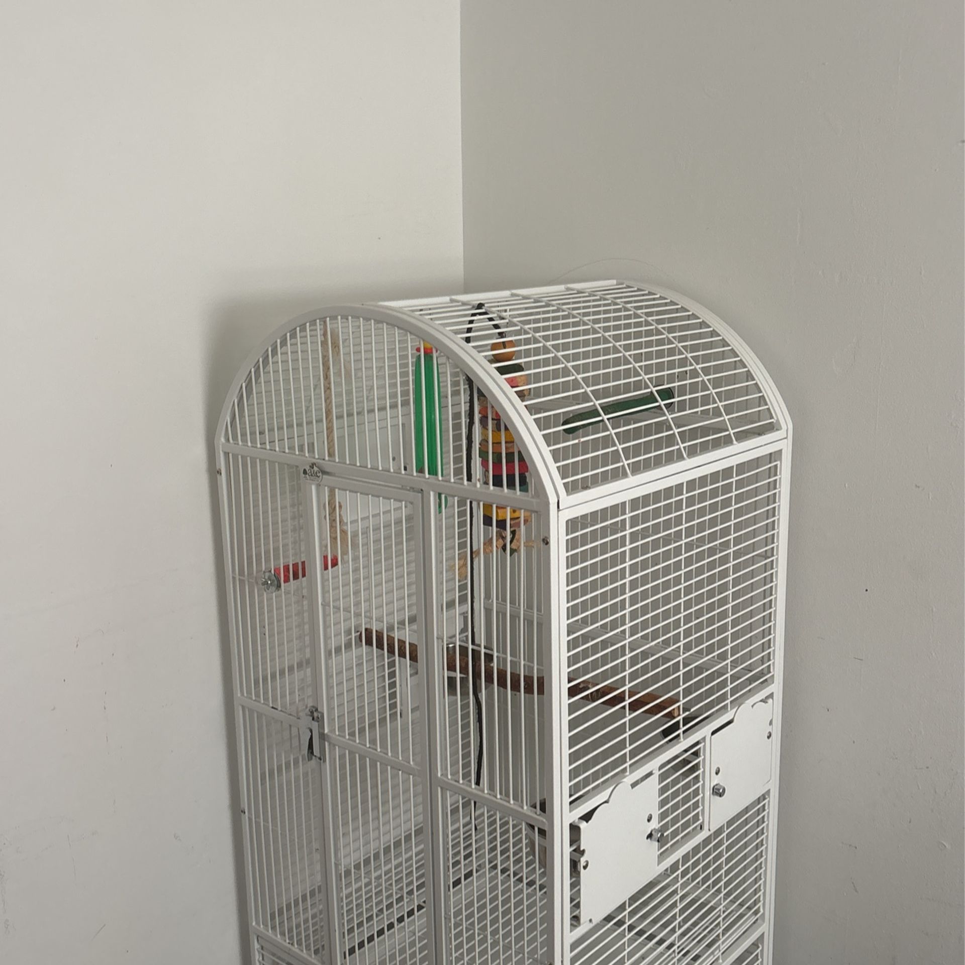 Bird Cage