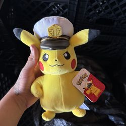Pokémon Plushies 
