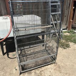 Bird Cage 
