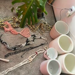 Pots, Plant Hangers, Plants, Etc