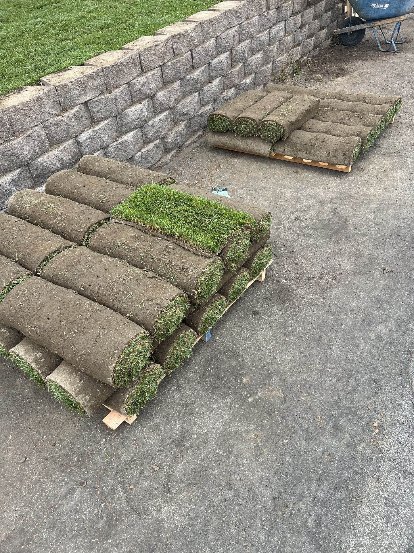 Fresh Fescue Sod – 344 Sq Ft – Must Go Today!