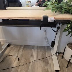 Sit Stand Desk and Shaq Chair